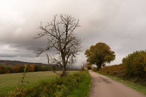 Comment visiter les châteaux du Pays de Galles sans voiture?